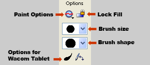 Options for the Brush tool